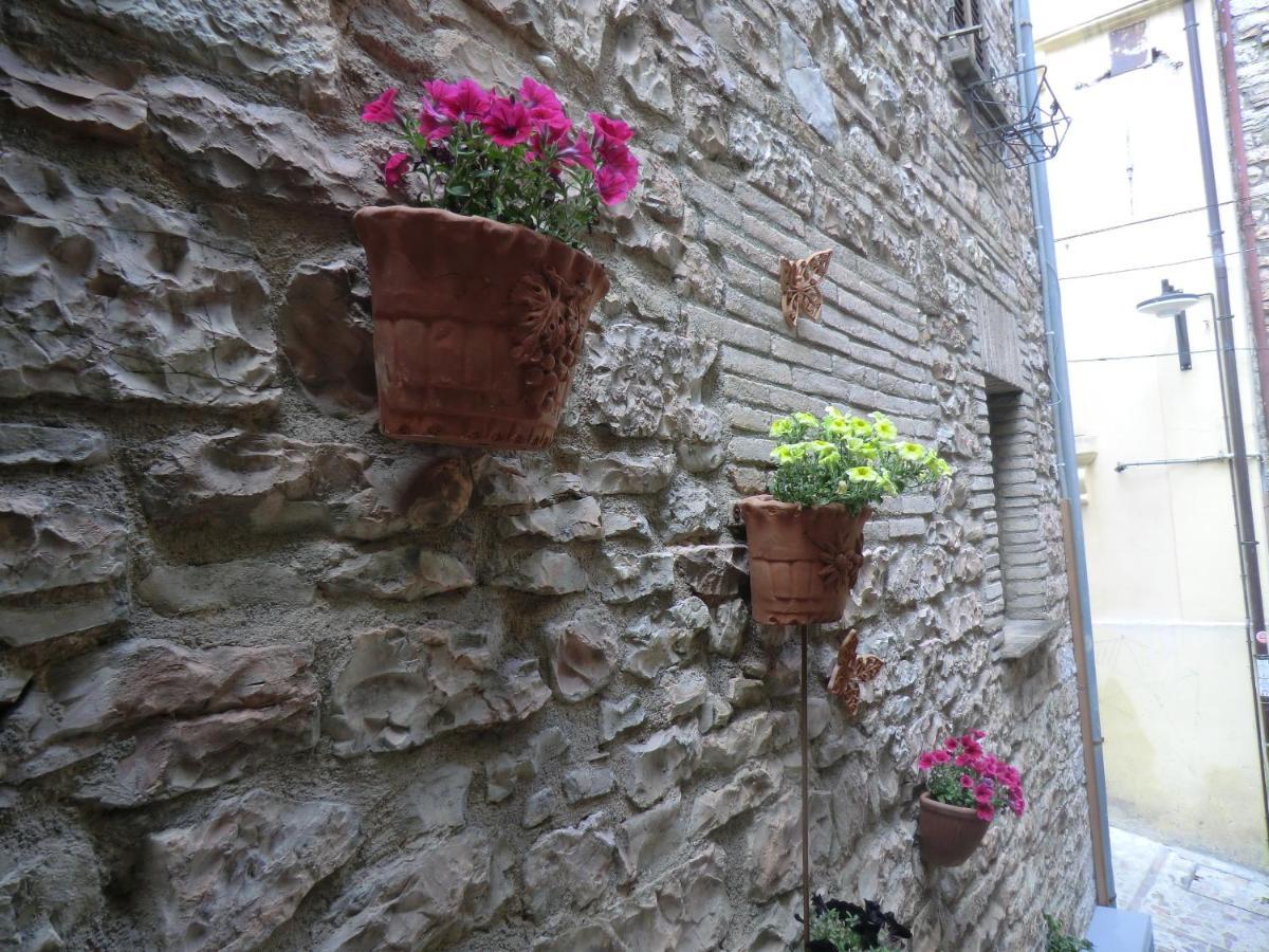 La Corta Di Spello Camere Luaran gambar