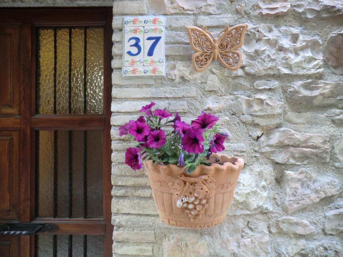 La Corta Di Spello Camere Luaran gambar