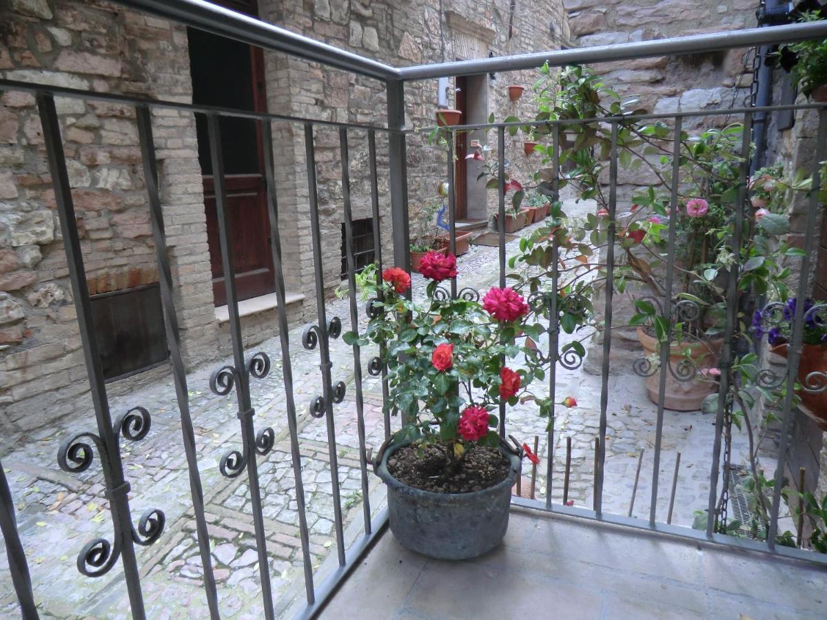 La Corta Di Spello Camere Luaran gambar